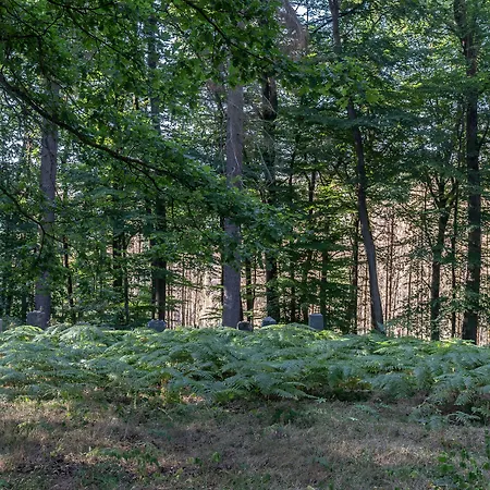 Landgasthof Zur Burg Grenzau Hotel 3*