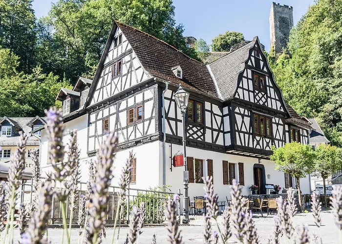 Hotel Landgasthof Zur Burg Grenzau 3*