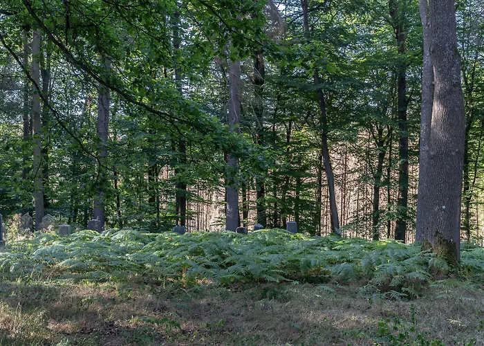 Landgasthof Zur Burg Grenzau 酒店 3*